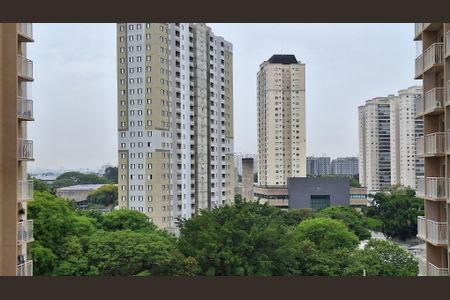 Vista de apartamento para alugar com 1 quarto, 27m² em Várzea da Barra Funda, São Paulo