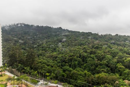 Apartamento à venda com 284m², 4 quartos e 5 vagasVista da Suíte 1