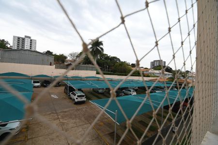 Sala - Vista de apartamento para alugar com 3 quartos, 57m² em Fazenda Santa Cândida, Campinas