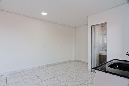 Studio de kitnet/studio para alugar com 1 quarto, 17m² em Vila Nina, São Paulo