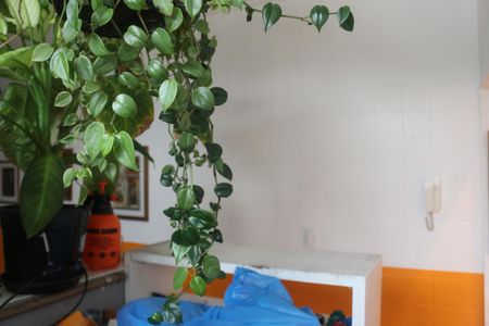 Apartamento à venda com 80m², 2 quartos e 1 vagaÁrea de Serviço