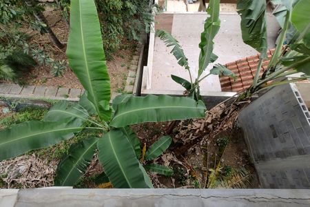 Casa de condomínio para alugar com 200m², 3 quartos e 4 vagasQuintal