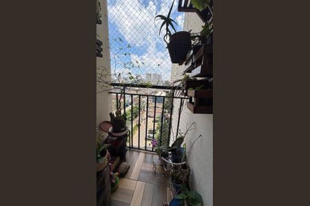 Sala - Varanda  de apartamento para alugar com 2 quartos, 48m² em Nova Petrópolis, São Bernardo do Campo