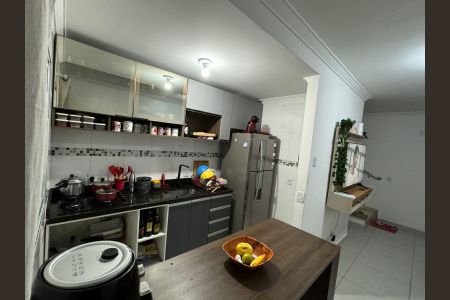 Cozinha de casa de condomínio para alugar com 2 quartos, 70m² em Santa Maria, Osasco