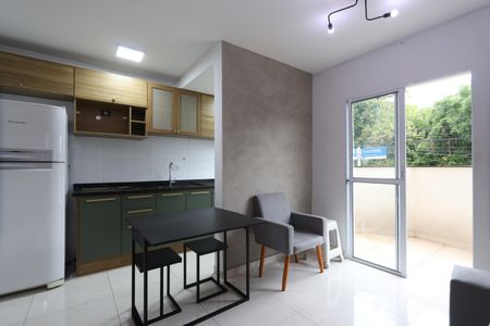 Sala de apartamento para alugar com 1 quarto, 40m² em Vila Santa Clara, São Paulo