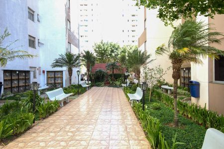 Apartamento à venda com 66m², 3 quartos e 1 vaga Apartamento à venda com 66m², 3 quartos e 1 vagaÁrea comum - Academia