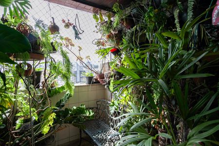 Apartamento à venda com 74m², 3 quartos e 2 vagas Apartamento à venda com 74m², 3 quartos e 2 vagasVaranda