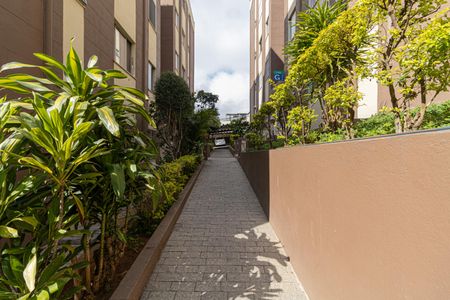 Apartamento para alugar com 72m², 2 quartos e 1 vagaÁrea Comum 