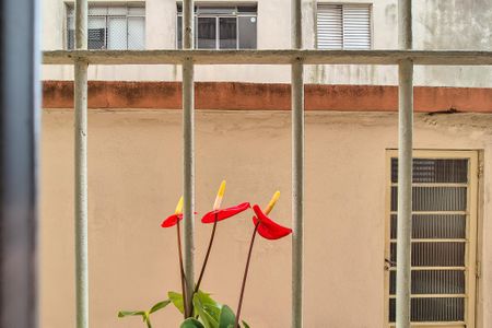 Sala - vista de apartamento à venda com 2 quartos, 62m² em Vila Damasio, São Bernardo do Campo