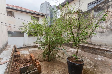 Casa à venda com 300m², 3 quartos e 3 vagasQuintal