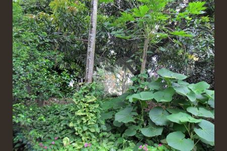 Casa à venda com 300m², 3 quartos e 5 vagas