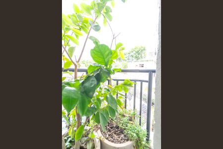 Apartamento à venda com 80m², 3 quartos e 1 vagaVaranda da Suíte