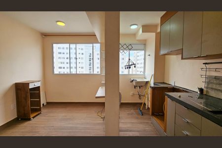 Sala de apartamento para alugar com 2 quartos, 45m² em Usina Piratininga, São Paulo