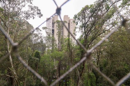 Vista da Varanda da Sala de apartamento à venda com 3 quartos, 79m² em Vila Andrade, São Paulo
