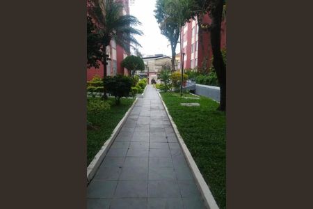 Apartamento à venda com 2 quartos, 54m² em Vila Pirituba, São Paulo