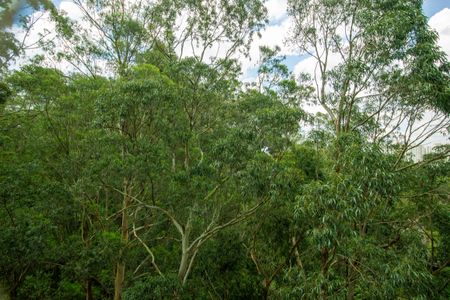 Vista do Quarto  de apartamento para alugar com 2 quartos, 110m² em Conjunto Promorar Raposo Tavares, São Paulo
