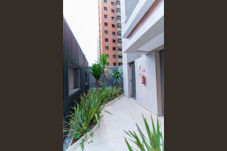 Apartamento para alugar com 85m², 2 quartos e 2 vagas Apartamento para alugar com 85m², 2 quartos e 2 vagasÁrea comum