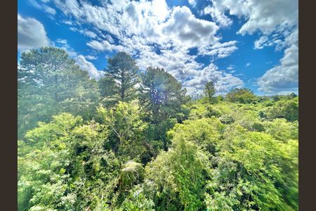 Apartamento para alugar com 47m², 2 quartos e 1 vaga Apartamento para alugar com 47m², 2 quartos e 1 vagaVista do Quarto 2