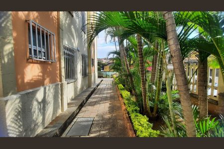 Apartamento à venda com 2 quartos, 53m² em Nova Cachoeirinha, Belo Horizonte
