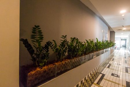 Apartamento para alugar com 40m², 1 quarto e 1 vagaÁrea comum