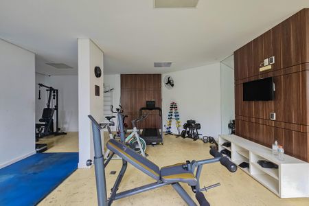 Apartamento à venda com 53m², 2 quartos e 1 vagaÁrea comum - Academia