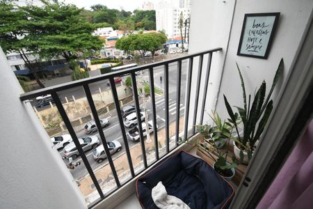 Sala - Sacada de apartamento para alugar com 1 quarto, 52m² em Ponte Preta, Campinas