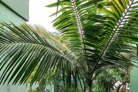 Apartamento à venda com 3 quartos, 79m² em Vila Manoel Ferreira, Campinas