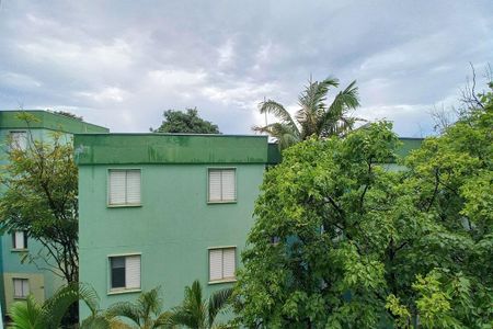 Apartamento à venda com 3 quartos, 79m² em Vila Manoel Ferreira, Campinas