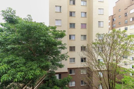 Vista da Sala de apartamento à venda com 2 quartos, 48m² em Colônia (zona Leste), São Paulo