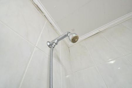 Apartamento à venda com 74m², 3 quartos e 2 vagasBanheiro da suíte