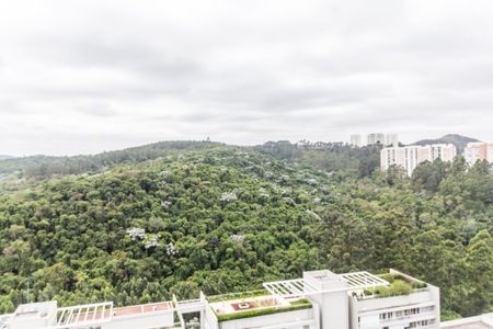 Apartamento para alugar com 201m², 2 quartos e 4 vagasVista da Suíte 1