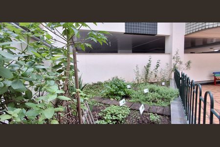 Apartamento para alugar com 100m², 3 quartos e 2 vagasHorta 