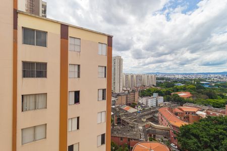 Vista - Quarto 1 de apartamento à venda com 3 quartos, 70m² em Belenzinho, São Paulo