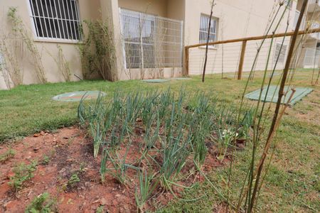 Apartamento para alugar com 36m², 2 quartos e sem vagaHorta