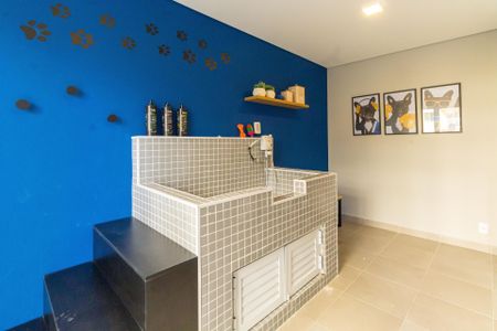 Apartamento para alugar com 36m², 2 quartos e sem vaga Apartamento para alugar com 36m², 2 quartos e sem vagaPet care