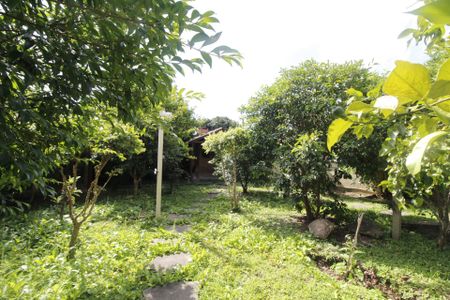 Casa para alugar com 990m², 6 quartos e 8 vagasQuintal