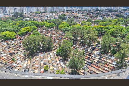 Apartamento para alugar com 39m², 2 quartos e sem vagaVista