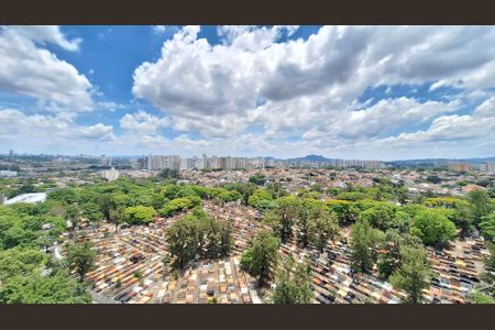 Vista de apartamento para alugar com 2 quartos, 39m² em Boaçava, São Paulo