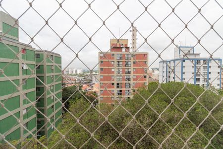 Vista da Sala de apartamento para alugar com 3 quartos, 79m² em Jaguaré, São Paulo