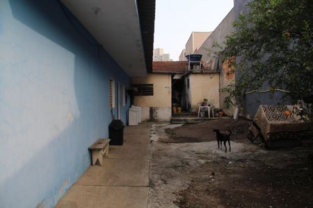 Casa à venda com 79m², 2 quartos e 8 vagasQuintal 