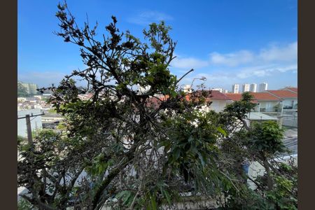 Vista da Varanda de apartamento para alugar com 2 quartos, 49m² em Jardim Monte Alegre, São Paulo