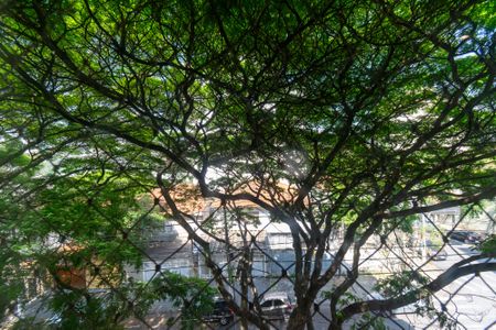 Vista da Sala  de apartamento para alugar com 3 quartos, 90m² em Vila Paulista, São Paulo