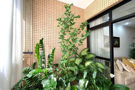 Varanda da Sala de apartamento à venda com 4 quartos, 120m² em Buritis, Belo Horizonte