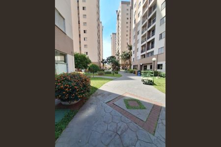 Apartamento à venda com 65m², 3 quartos e 1 vaga