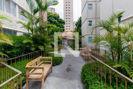 Apartamento à venda com 67m², 3 quartos e 1 vaga