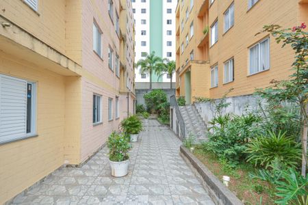 Apartamento para alugar com 50m², 2 quartos e 1 vaga Apartamento para alugar com 50m², 2 quartos e 1 vagaÁrea comum