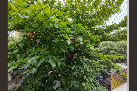 Vista da Sala de apartamento à venda com 2 quartos, 66m² em Grajaú, Rio de Janeiro