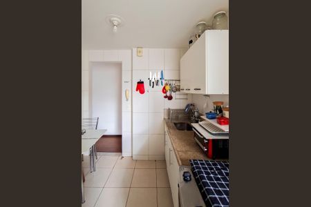 Cozinha e Área de Serviço de apartamento para alugar com 2 quartos, 50m² em Sagrada Família, Belo Horizonte