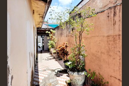 Casa à venda com 230m², 2 quartos e 2 vagasFoto 23