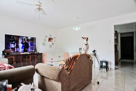 Casa à venda com 5 quartos, 100m² em Parque Peruche, São Paulo